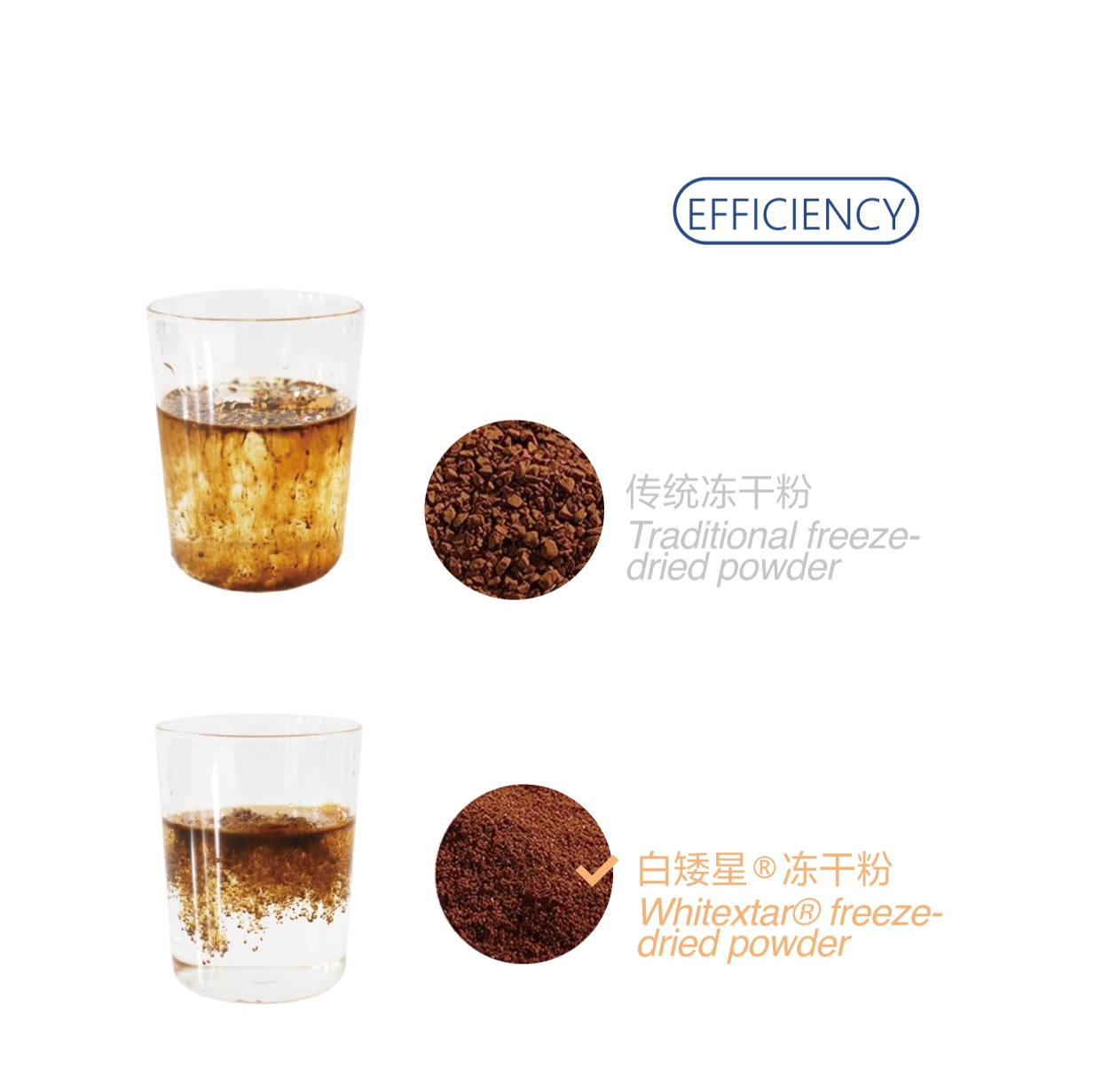 Freeze-dried Coffee Powder